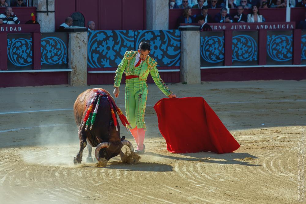 Corrida Picassiana @ Málaga, 19-04-2025