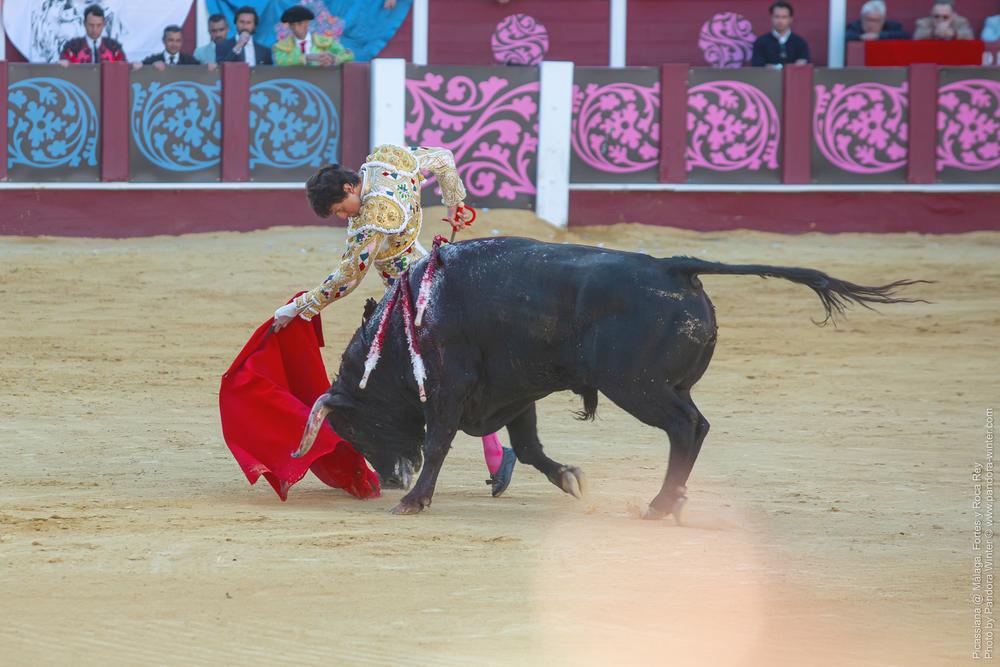 Corrida Picassiana @ Málaga, 19-04-2025