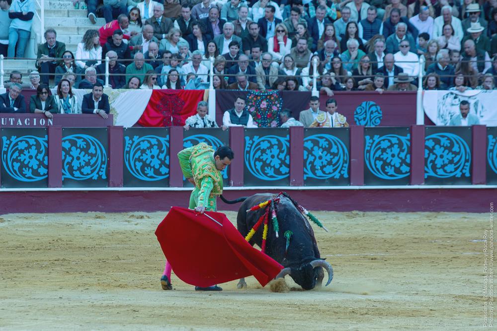 Corrida Picassiana @ Málaga, 19-04-2025