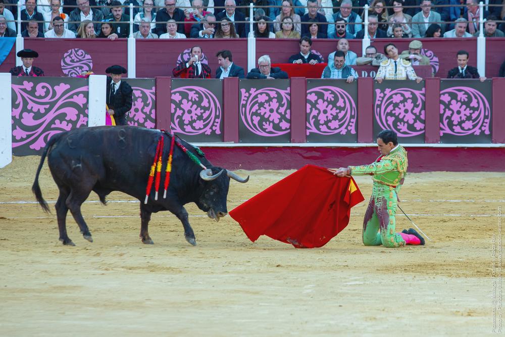 Corrida Picassiana @ Málaga, 19-04-2025