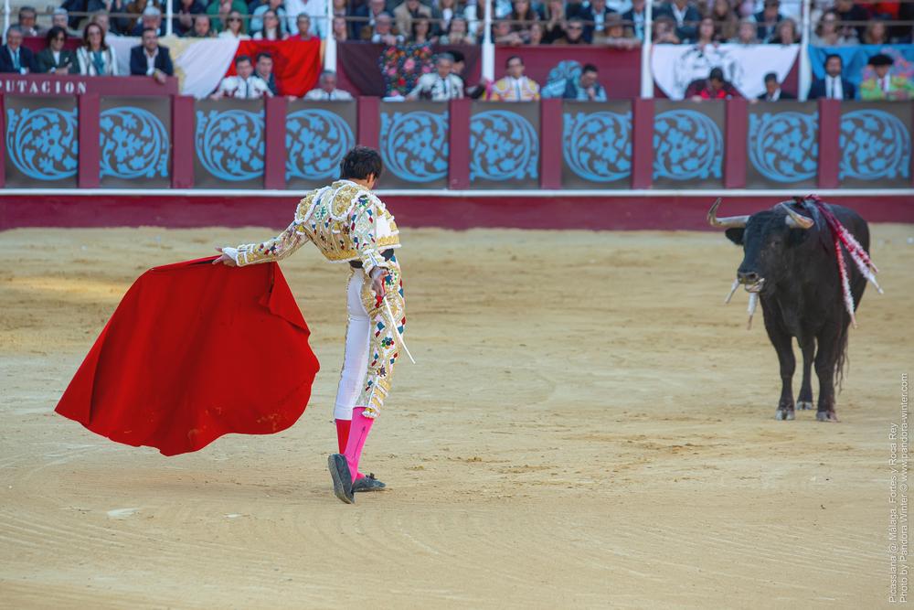 Corrida Picassiana @ Málaga, 19-04-2025