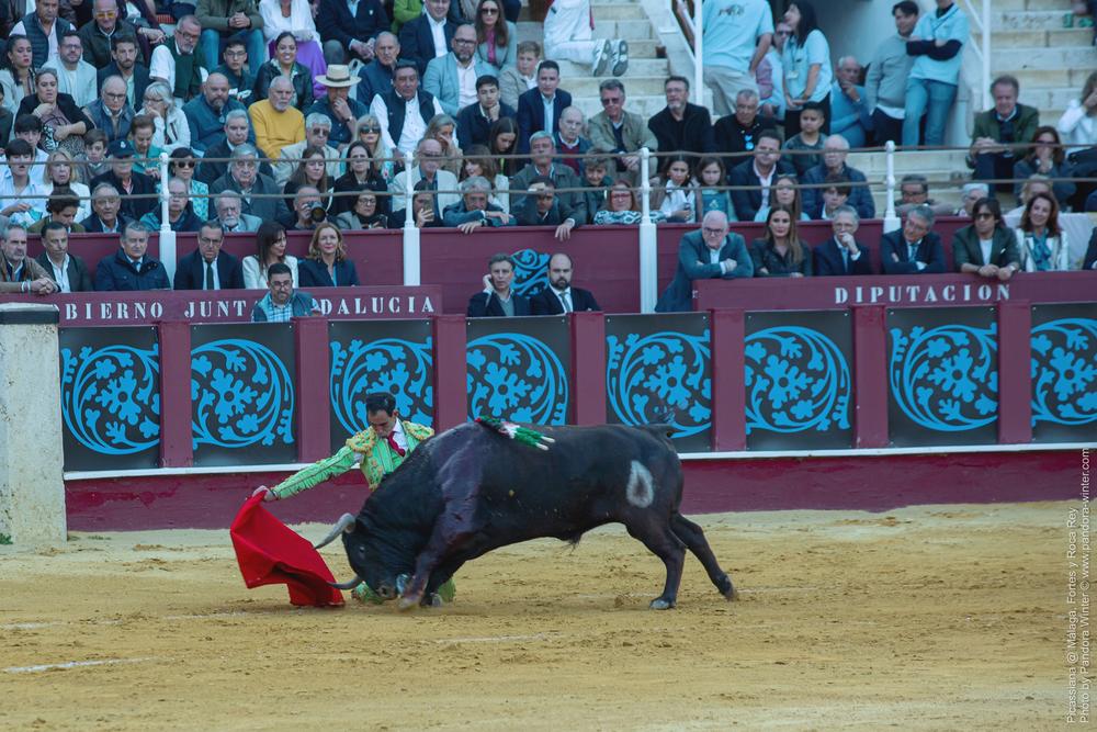 Corrida Picassiana @ Málaga, 19-04-2025