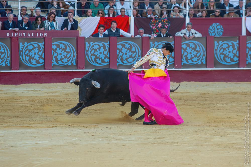 Corrida Picassiana @ Málaga, 19-04-2025