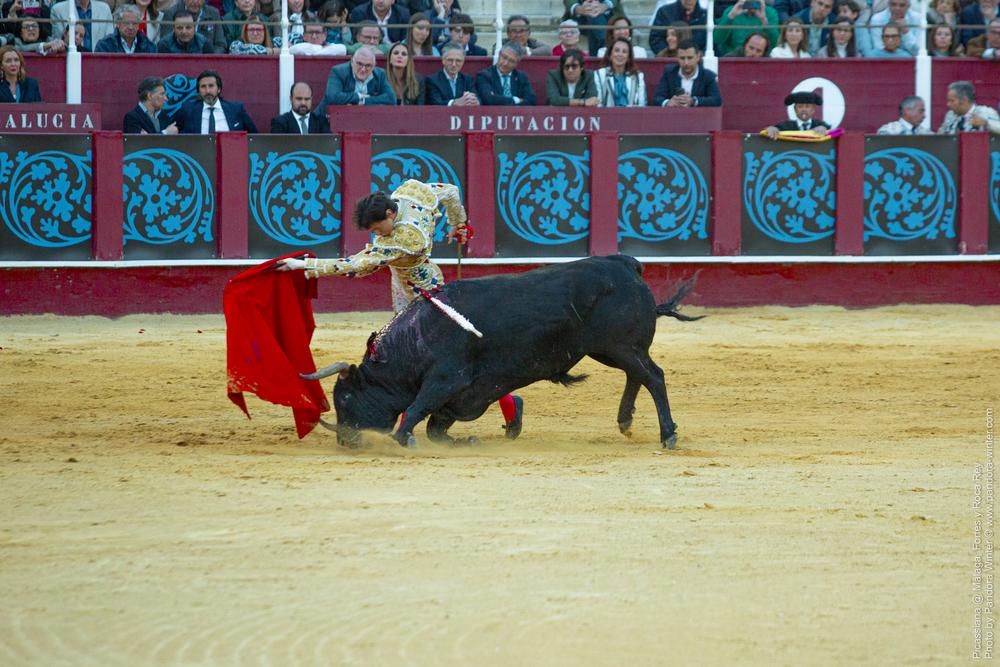 Corrida Picassiana @ Málaga, 19-04-2025