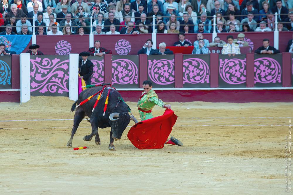 Corrida Picassiana @ Málaga, 19-04-2025