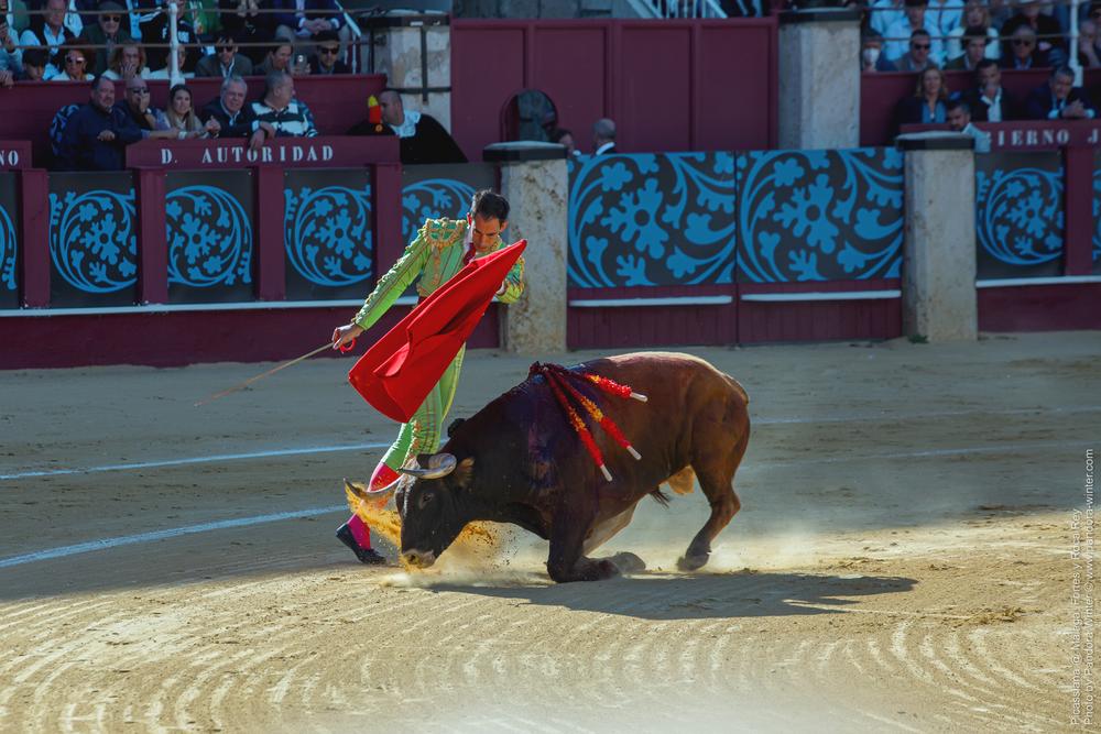 Corrida Picassiana @ Málaga, 19-04-2025