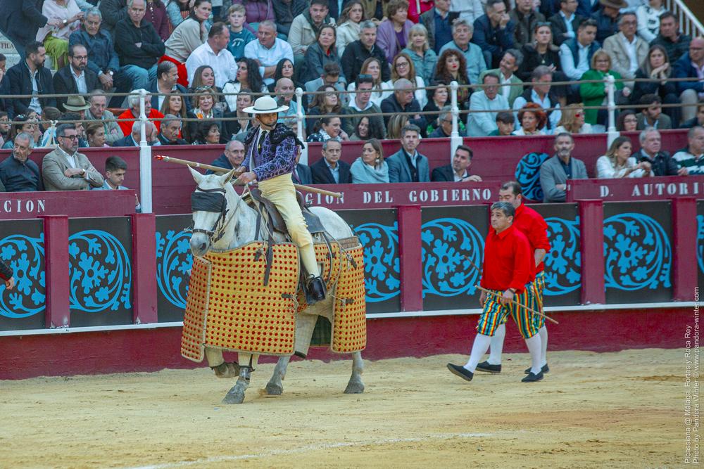 Corrida Picassiana @ Málaga, 19-04-2025