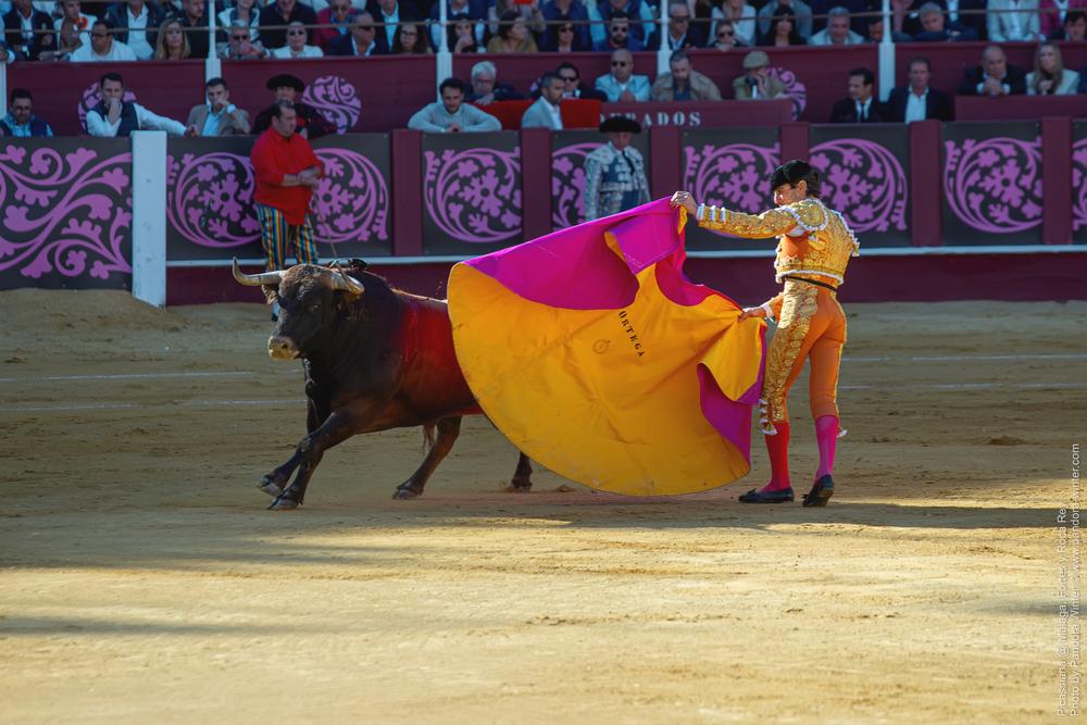 Corrida Picassiana @ Málaga, 19-04-2025