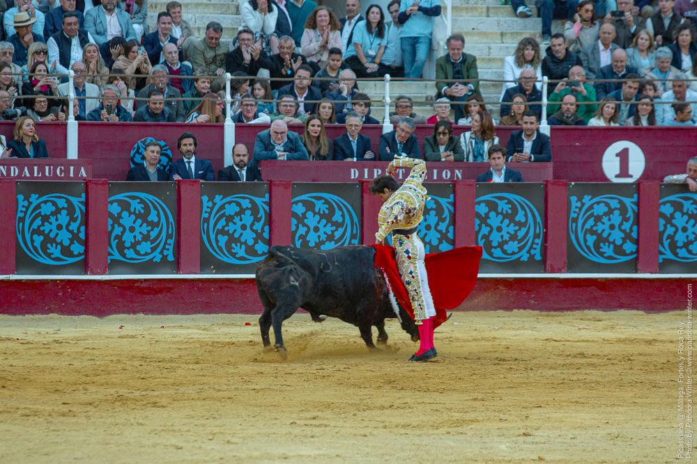 Corrida Picassiana @ Málaga, 19-04-2025