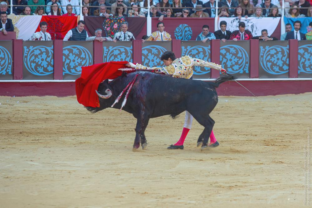 Corrida Picassiana @ Málaga, 19-04-2025