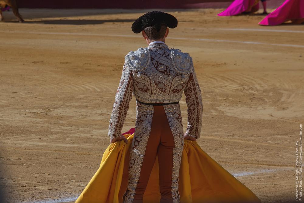 Corrida Picassiana @ Málaga, 19-04-2025