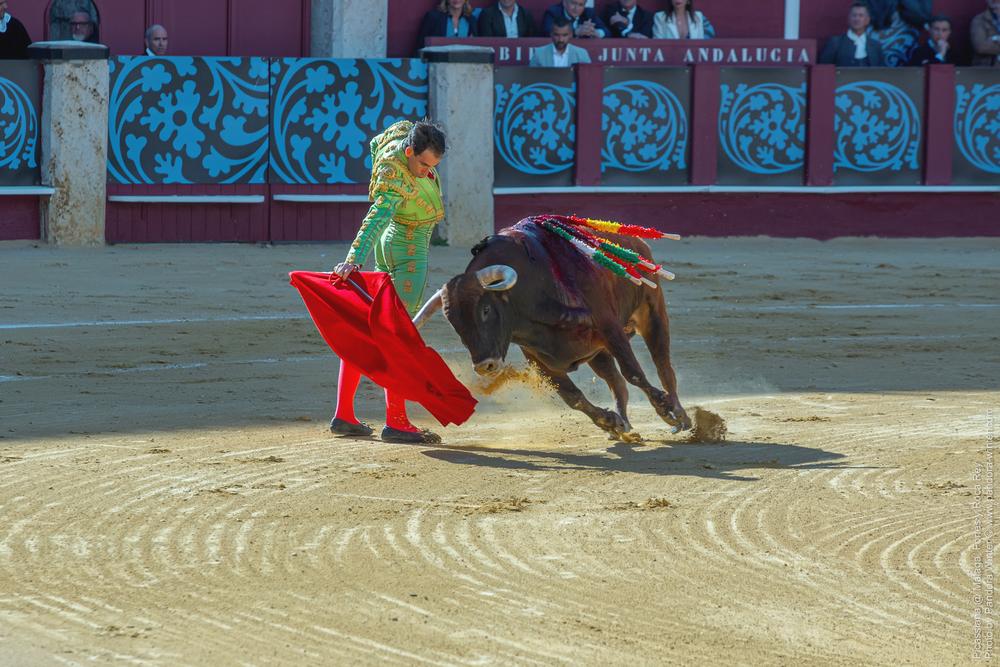 Corrida Picassiana @ Málaga, 19-04-2025
