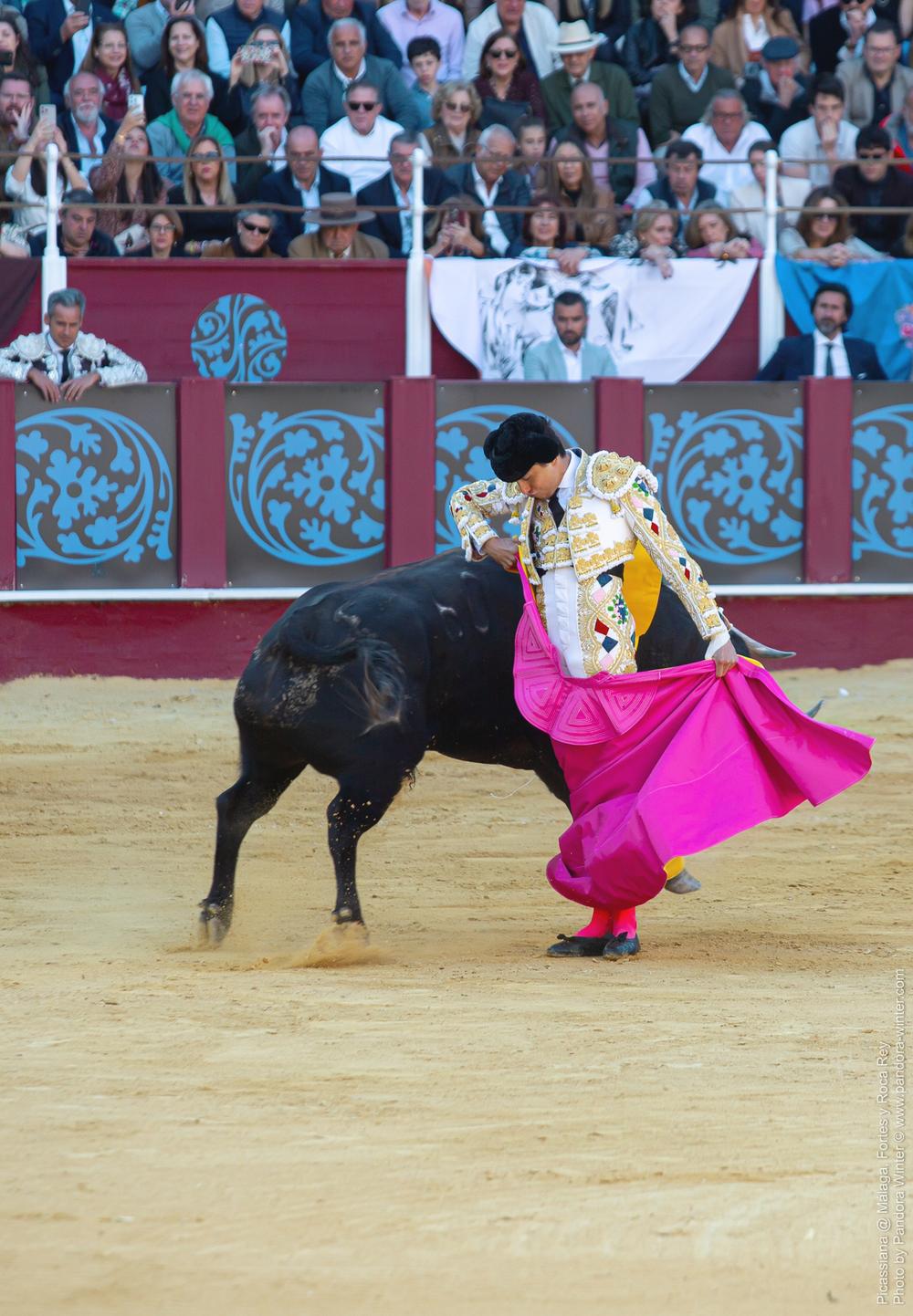 Corrida Picassiana @ Málaga, 19-04-2025