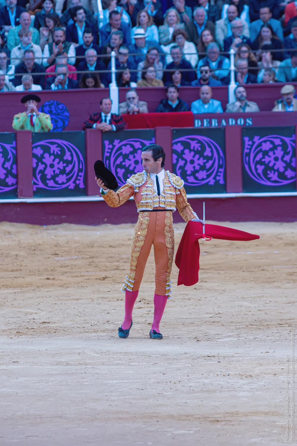 Corrida Picassiana @ Málaga, 19-04-2025