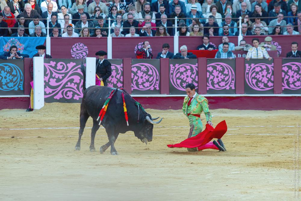 Corrida Picassiana @ Málaga, 19-04-2025