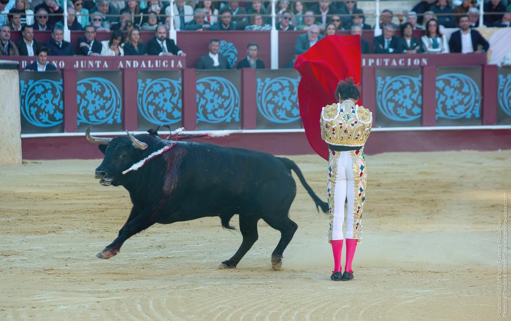 Corrida Picassiana @ Málaga, 19-04-2025