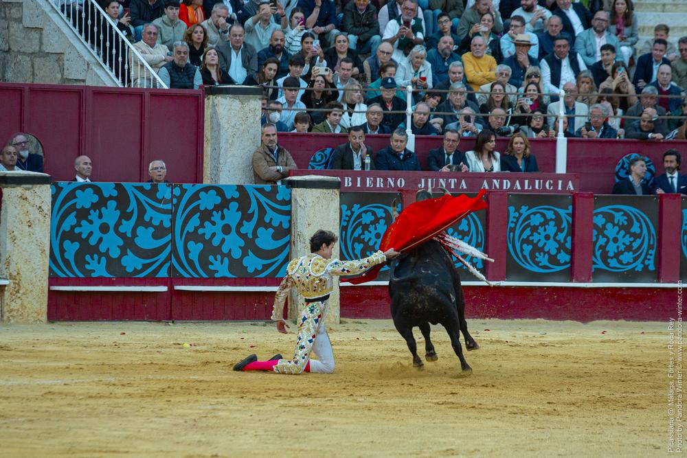 Corrida Picassiana @ Málaga, 19-04-2025