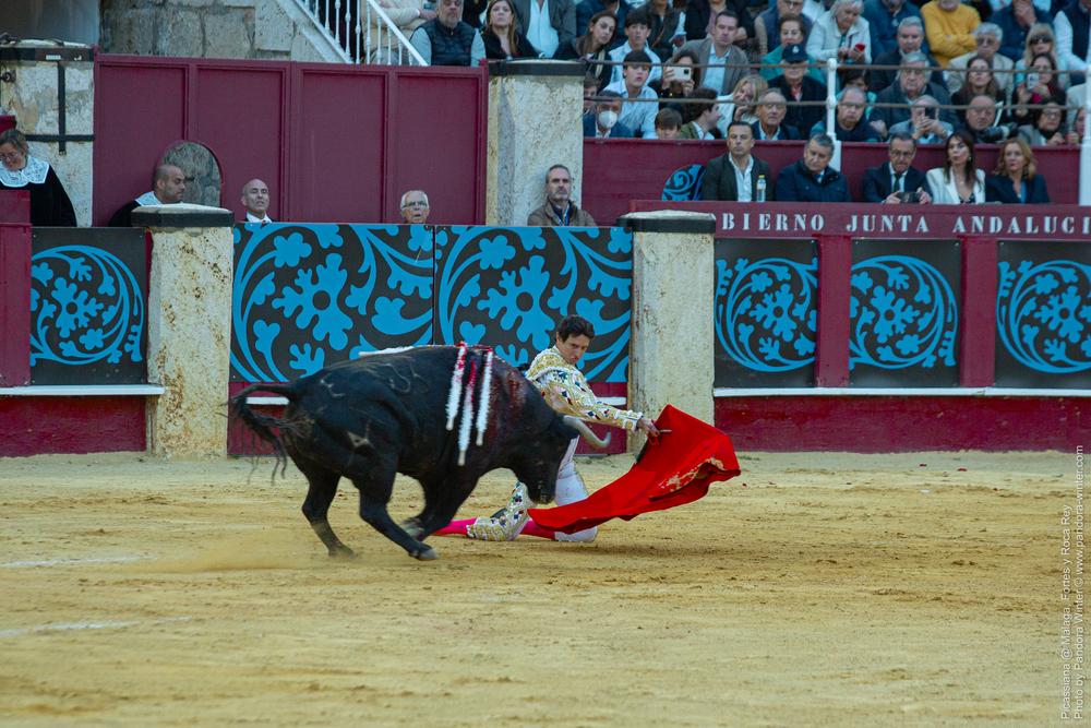 Corrida Picassiana @ Málaga, 19-04-2025