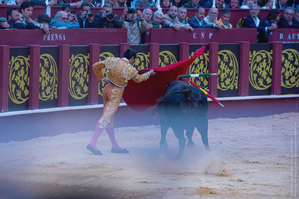 Corrida Picassiana @ Málaga, 19-04-2025