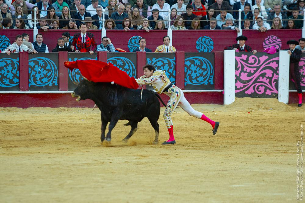 Corrida Picassiana @ Málaga, 19-04-2025