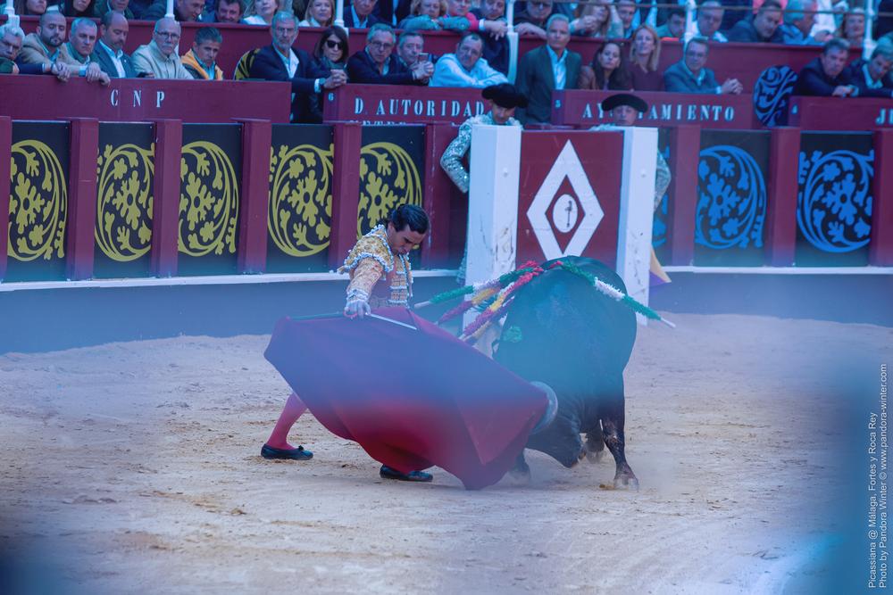 Corrida Picassiana @ Málaga, 19-04-2025