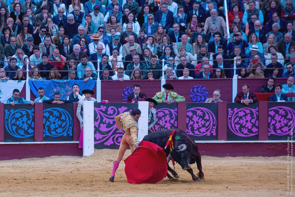 Corrida Picassiana @ Málaga, 19-04-2025