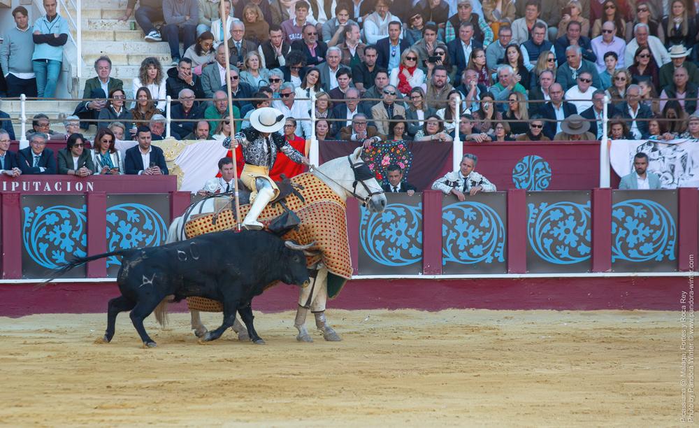 Corrida Picassiana @ Málaga, 19-04-2025
