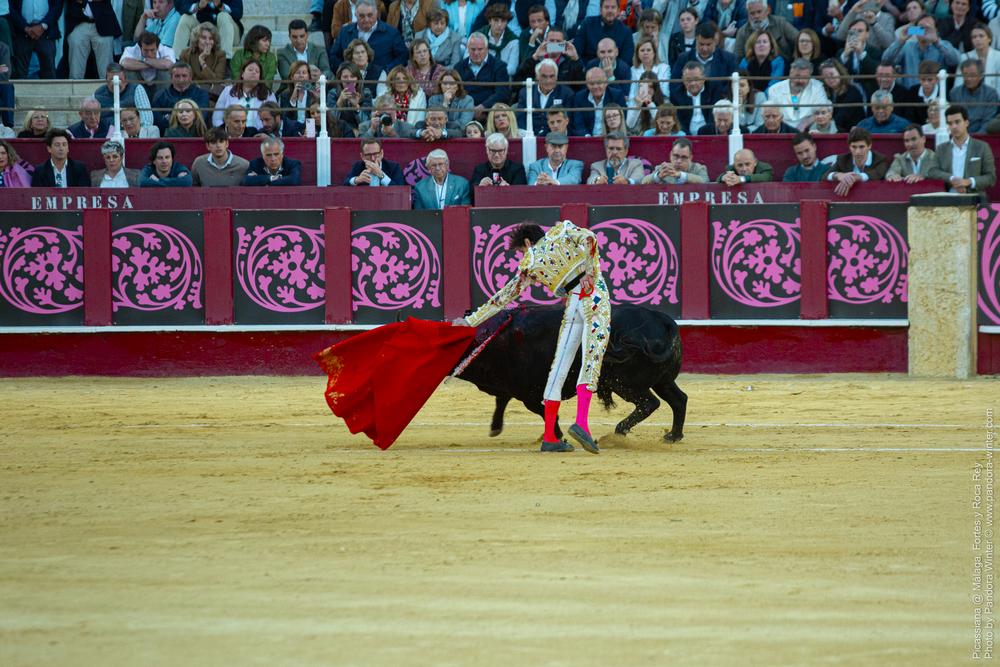Corrida Picassiana @ Málaga, 19-04-2025