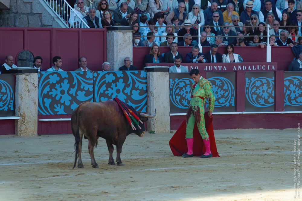 Corrida Picassiana @ Málaga, 19-04-2025