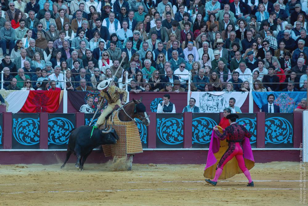 Corrida Picassiana @ Málaga, 19-04-2025