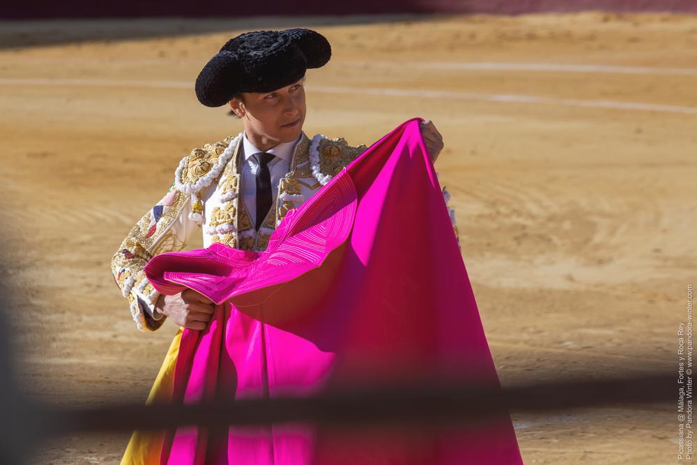 Corrida Picassiana @ Málaga, 19-04-2025