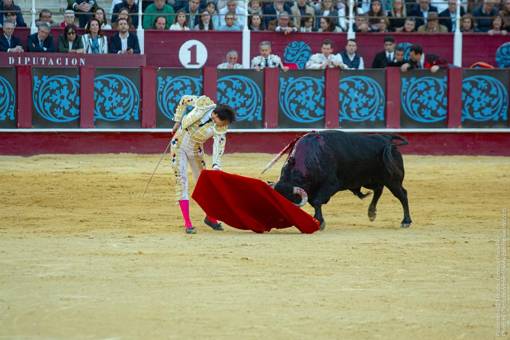 Corrida Picassiana @ Málaga, 19-04-2025