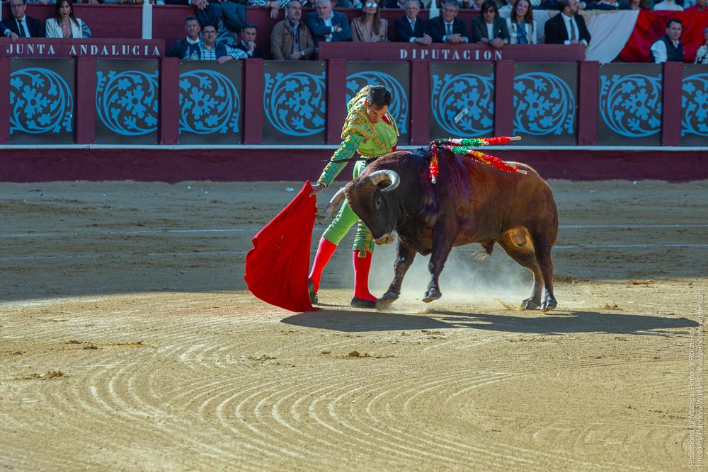 Corrida Picassiana @ Málaga, 19-04-2025