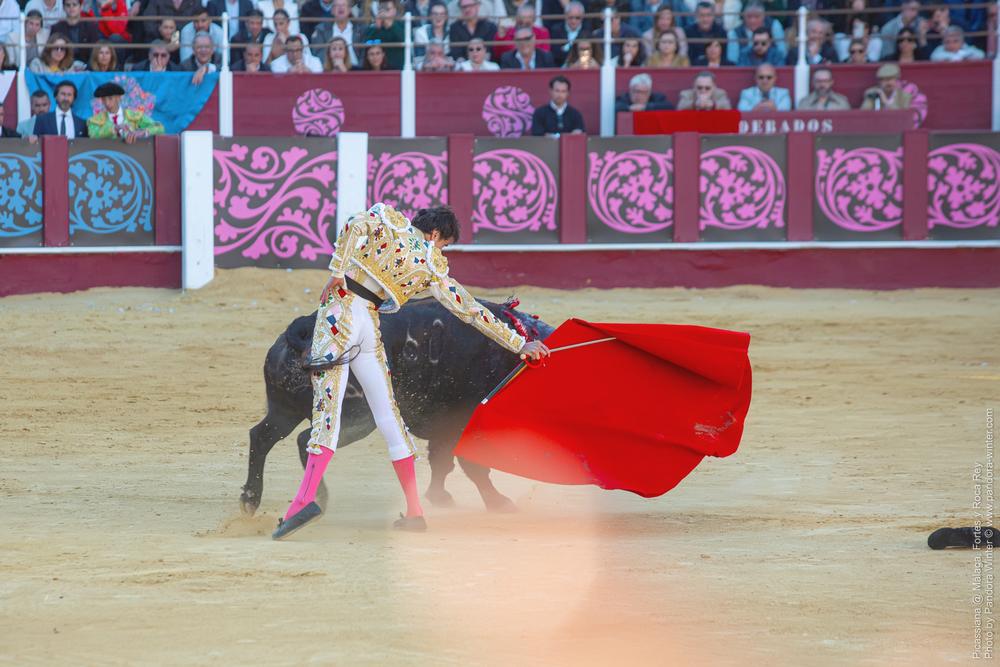 Corrida Picassiana @ Málaga, 19-04-2025