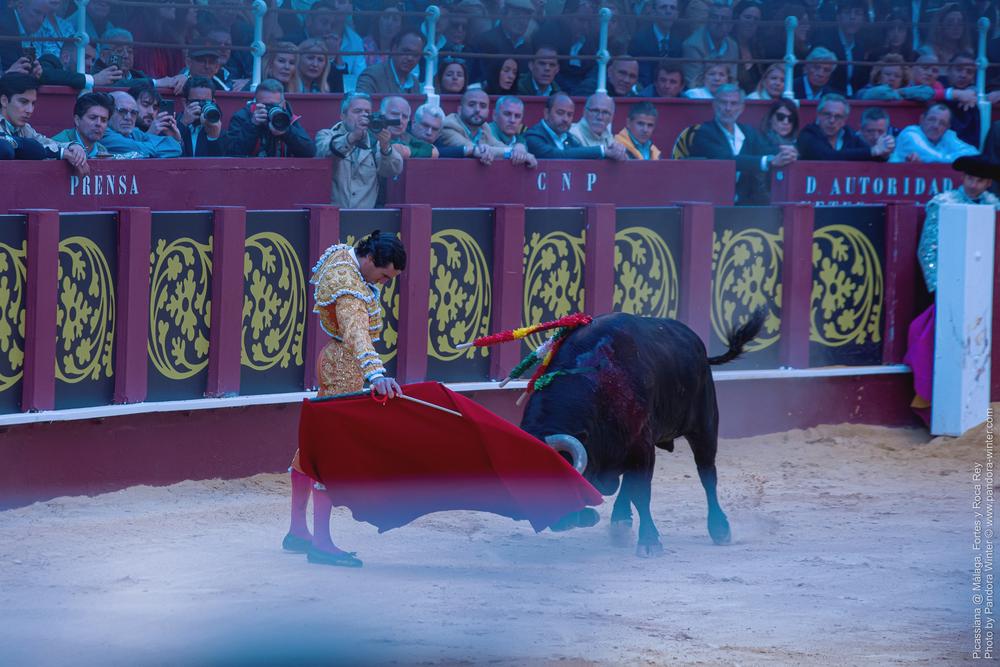 Corrida Picassiana @ Málaga, 19-04-2025