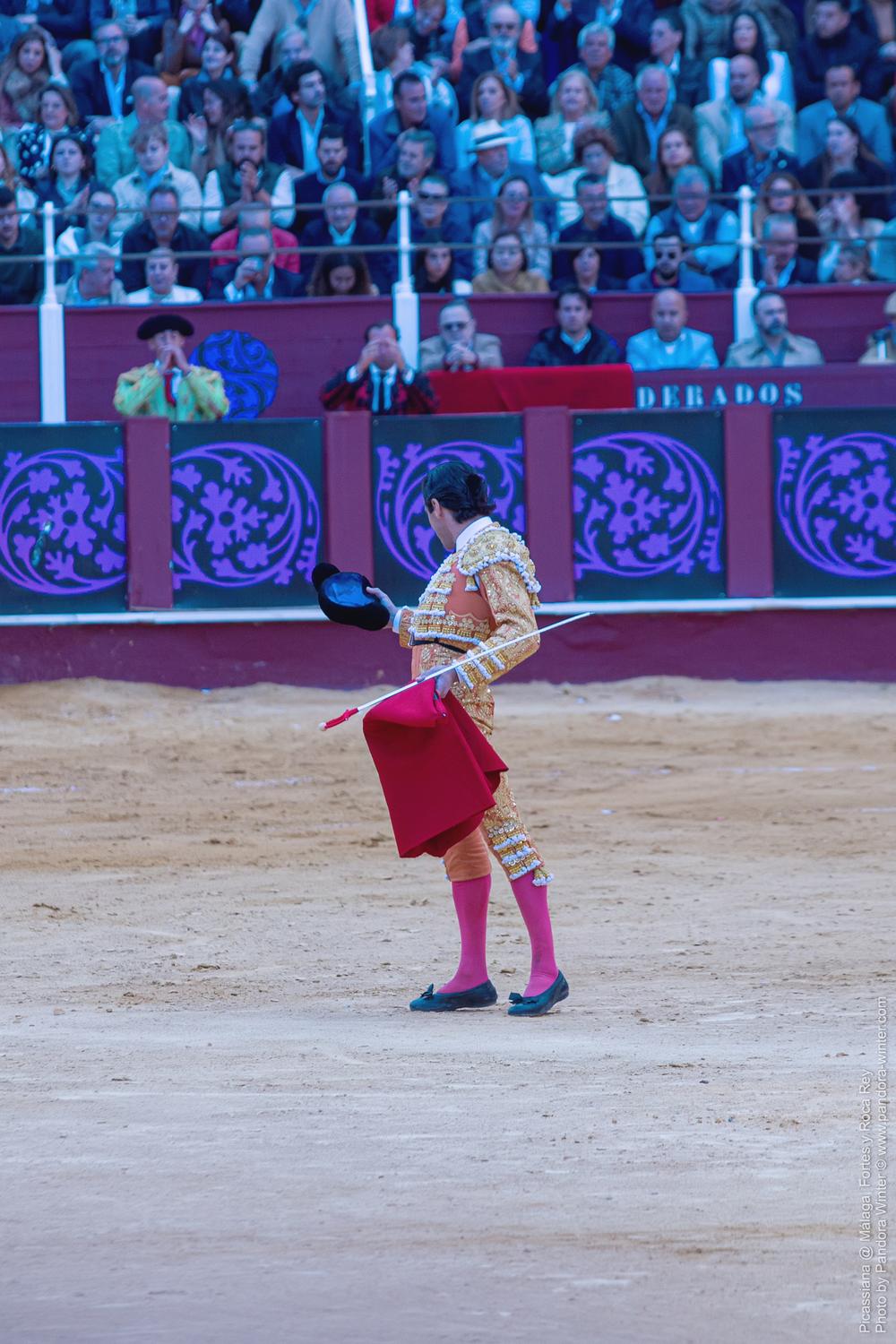 Corrida Picassiana @ Málaga, 19-04-2025