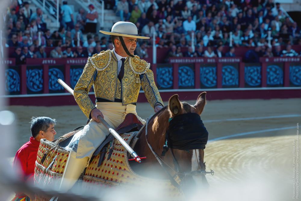 Corrida Picassiana @ Málaga, 19-04-2025