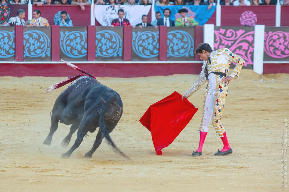 Corrida Picassiana @ Málaga, 19-04-2025