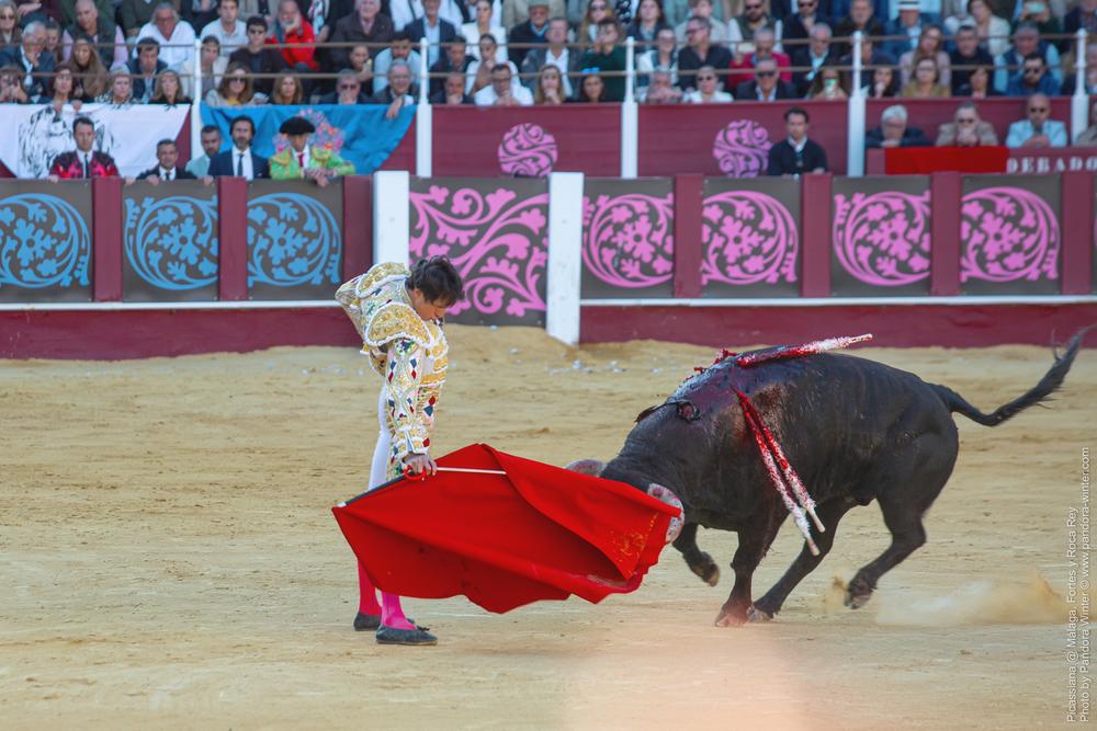 Corrida Picassiana @ Málaga, 19-04-2025