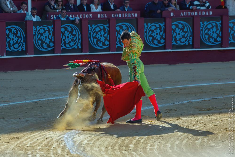 Corrida Picassiana @ Málaga, 19-04-2025