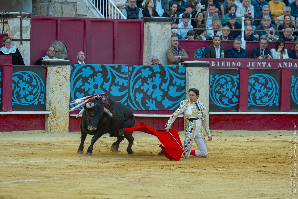 Corrida Picassiana @ Málaga, 19-04-2025