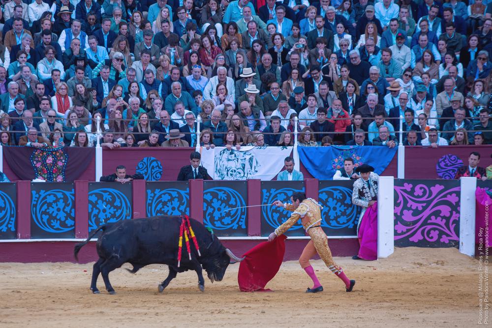 Corrida Picassiana @ Málaga, 19-04-2025