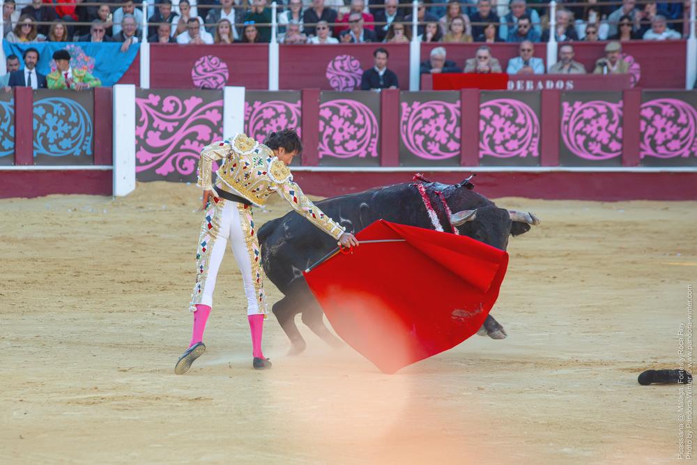 Corrida Picassiana @ Málaga, 19-04-2025