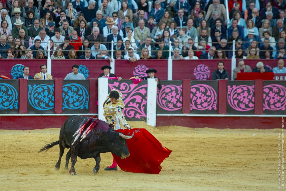 Corrida Picassiana @ Málaga, 19-04-2025