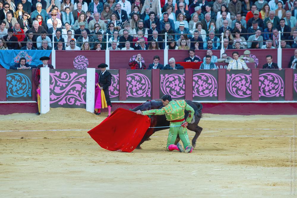 Corrida Picassiana @ Málaga, 19-04-2025