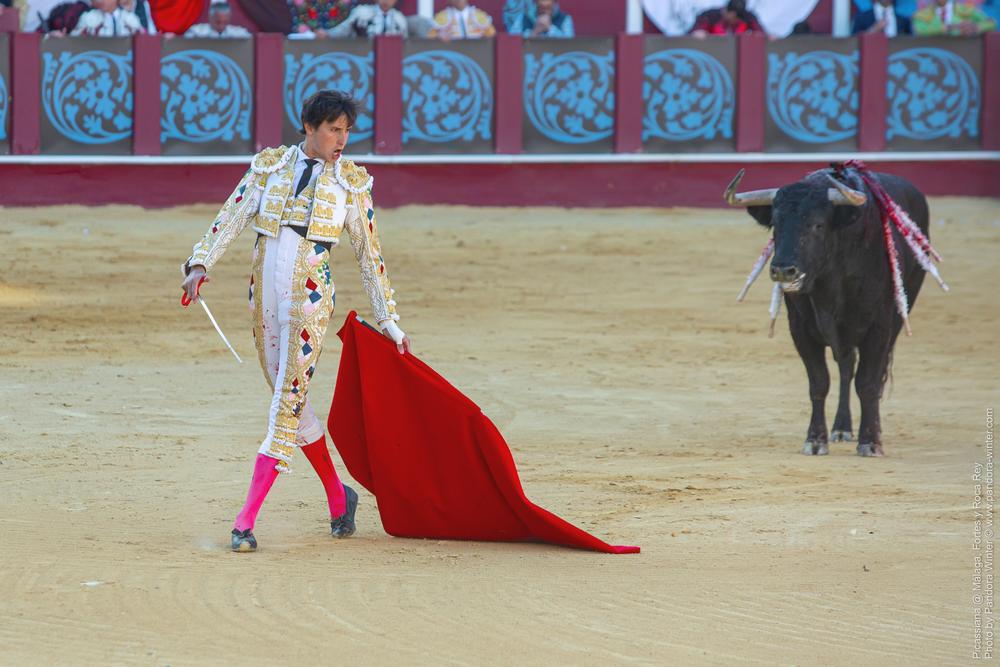 Corrida Picassiana @ Málaga, 19-04-2025