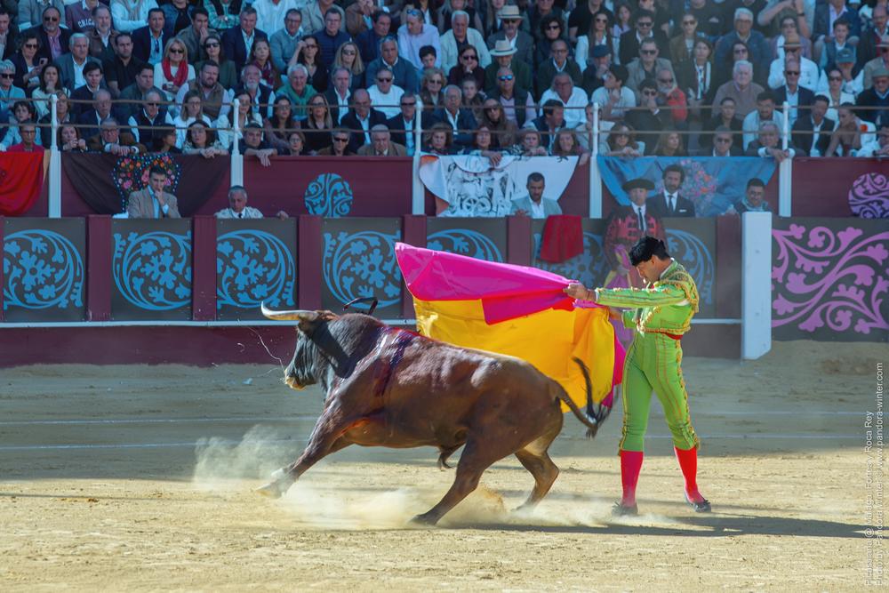 Corrida Picassiana @ Málaga, 19-04-2025