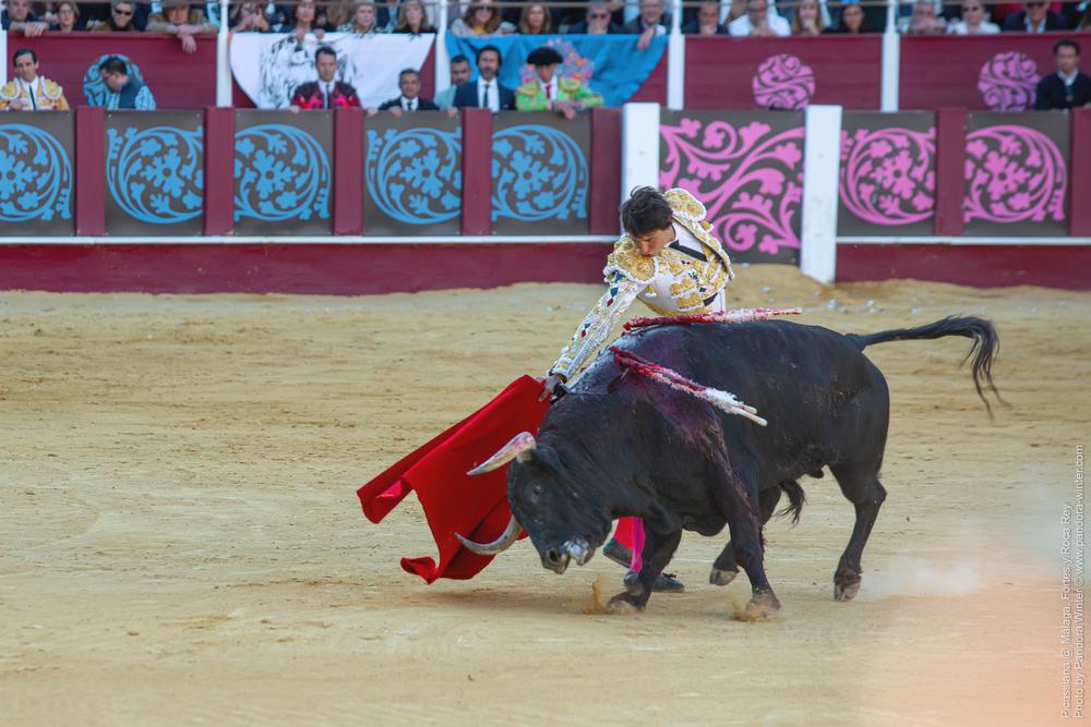 Corrida Picassiana @ Málaga, 19-04-2025