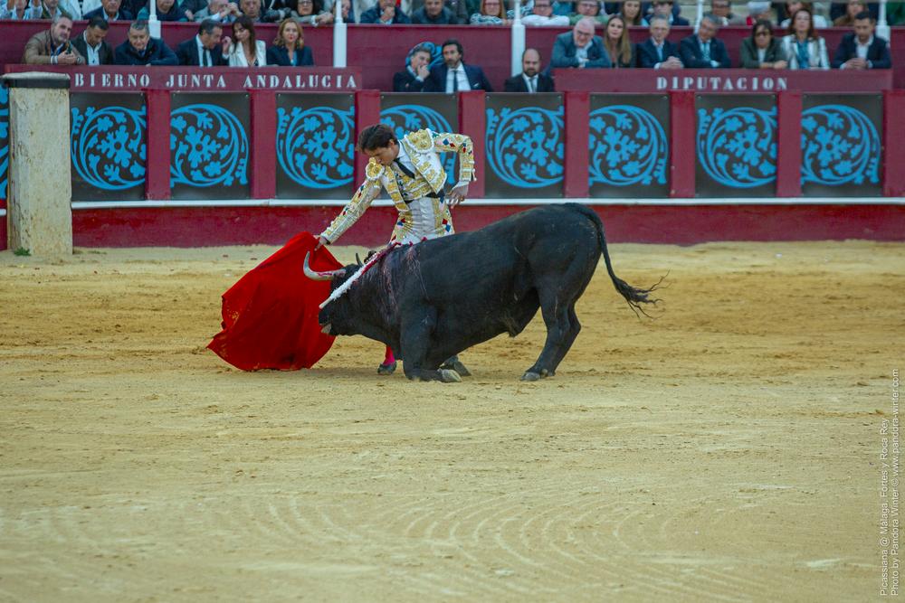 Corrida Picassiana @ Málaga, 19-04-2025