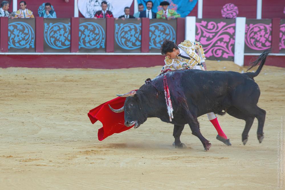 Corrida Picassiana @ Málaga, 19-04-2025